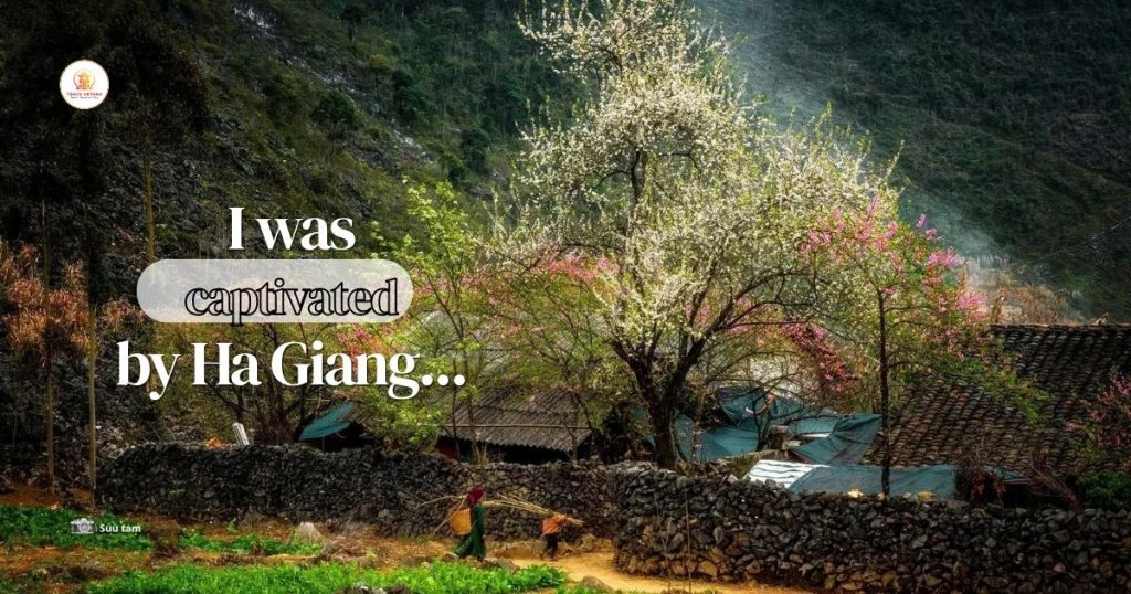 After my trip to Ha Giang, I was captivated...