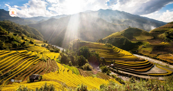 Frequently asked questions from tourists about Mu Cang Chai