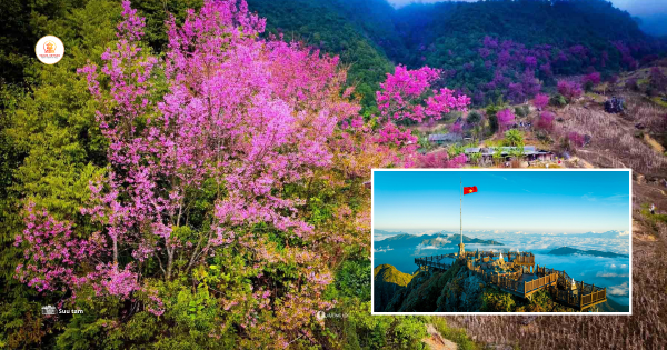 How is Mu Cang Chai different from Sapa