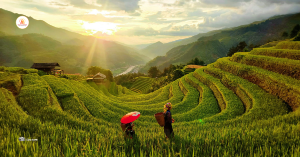Why does Mu Cang Chai attract tourists to experience it