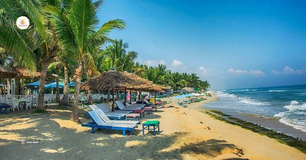 Top Things to Do in Hoi An