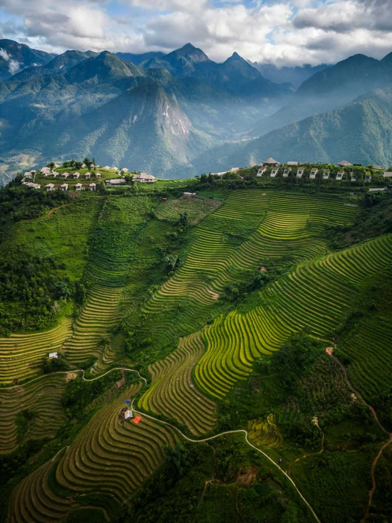 Sapa Terraces